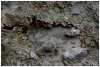 6/landmannalaugar 54 (Small).jpg